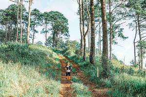 BIB: 
                            <button type="button" onclick="openModal(25653007)" class="btn btn-primary btn-sm float-right btn-popup" data-toggle="modal" data-target=".modal-high-quality">
                        <i class="fas fa-shopping-cart"></i> Add to Cart
                    </button>
                                            <button type="button" onclick="isThisMe(25653007, true)" class="btn btn-success btn-sm float-right btn-popup btn-isme hidden" data-toggle="tooltip" data-placement="bottom" title="นี่คือรูปของคุณใช่ไหม คลิกที่นี่เพื่อเอาเข้าอัลบั้ม">
                        <i class="fas fa-plus"></i> Add to album
                    </button>
                    <button type="button" onclick="isThisMe(25653007, false)" class="btn btn-warning btn-sm float-right btn-popup btn-isnotme hidden">
                        <i class="fas fa-ban"></i> Remove from album
                    </button>